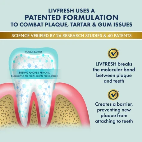 LIVFRESH Gel Toothpaste Wintergreen Foaming